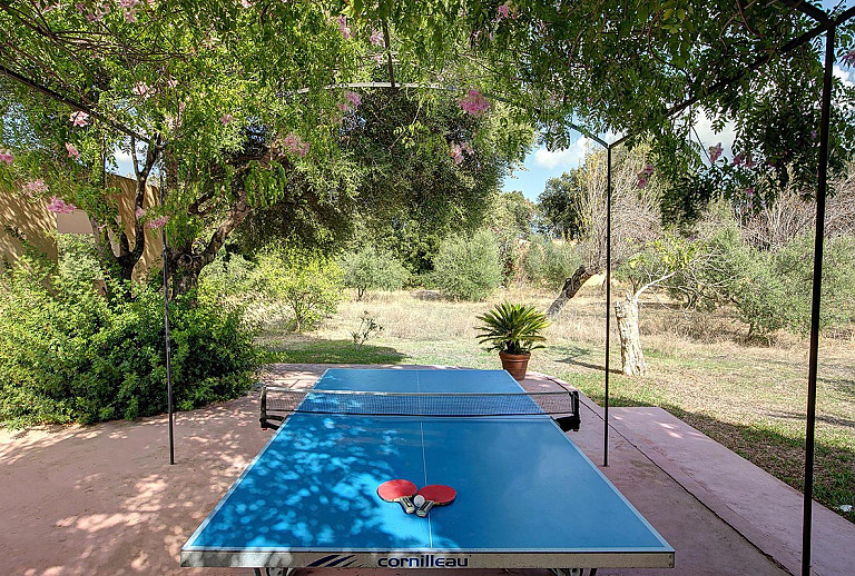 Tischtennisplatte im Garten unter einem Baum