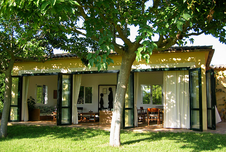 Finca Garten Baum 