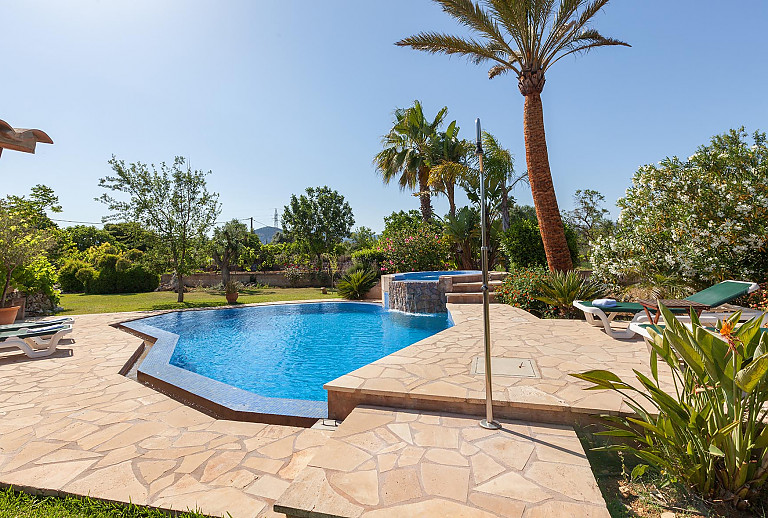 Gartenbereich Pool Palmen Rasen Sonnenliegen Aussendusche