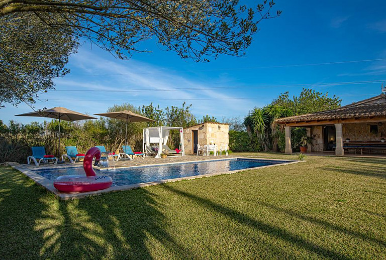 Poolbereich Sonnenliegen Terrasse Kakteen