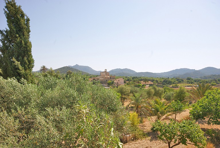 Panoramablick Bäume Berge Himmel