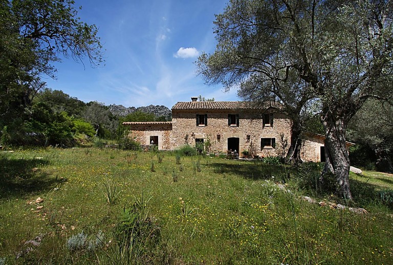 Mallorca Finca Pool Garten