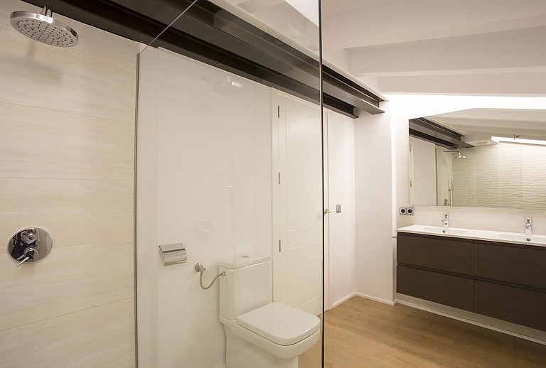 Bad mit großer Dusche und WC