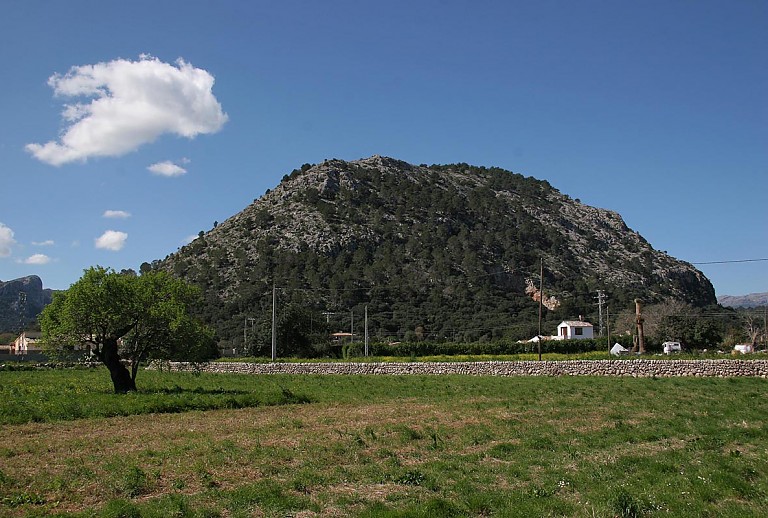 Umgebung zum Grundstück mit Bergen und Wiesen