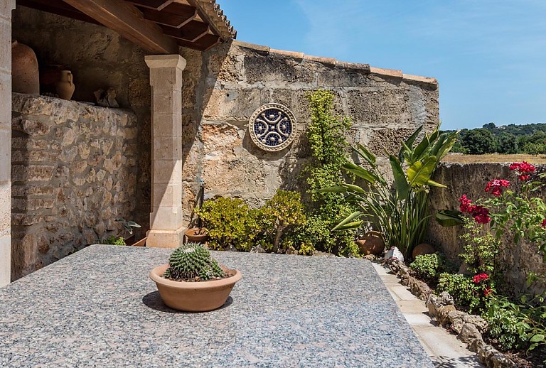 Außenbereich mit Topfpflanzen und Vordach