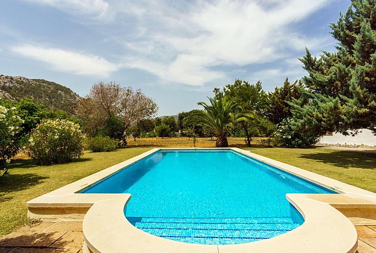 Schwimmbecken im Garten mit Rasen und Bäumen