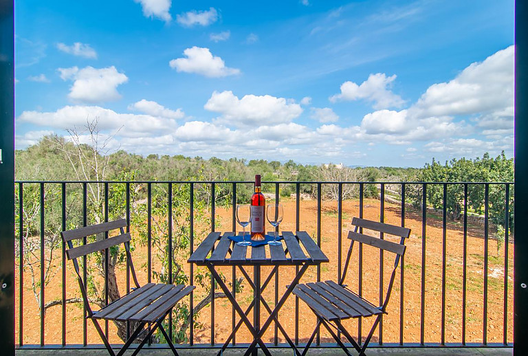 Blick vom Balkon in den Garten