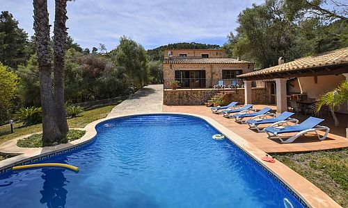 Poolbereich mit Pflanzen Sonnenliegen und Rasen