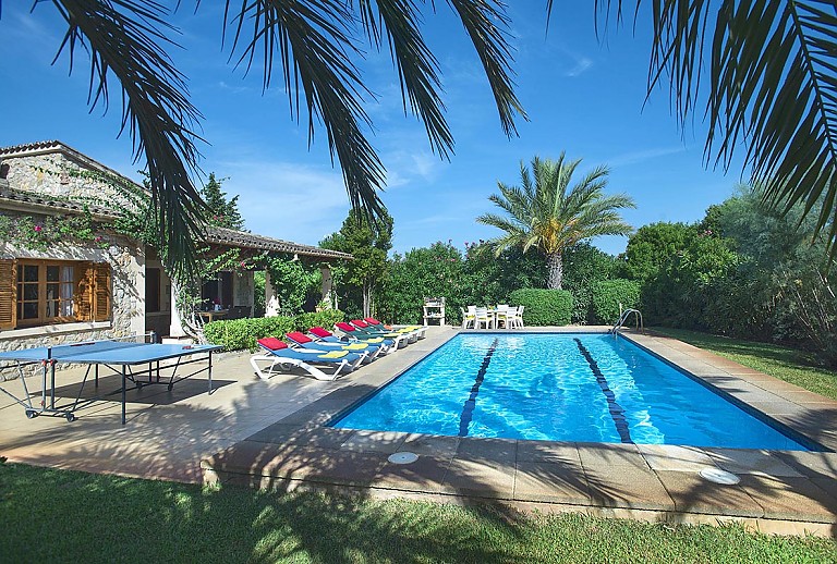 Poolbereich mit Sonnenliegen Palmen und Rasen