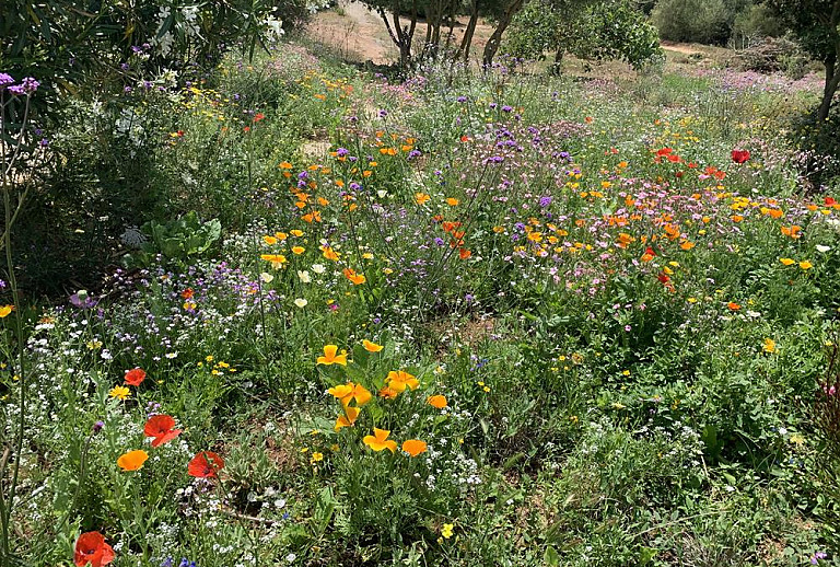 Tisch im Garten mit Blumen