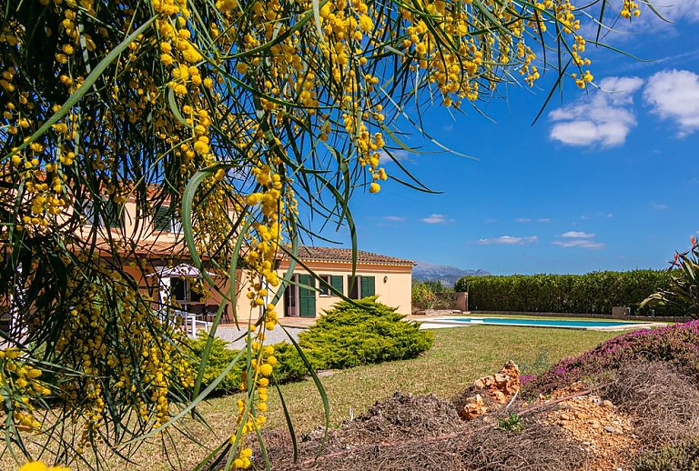 Garten vor der Finca mit Pool und Blumen