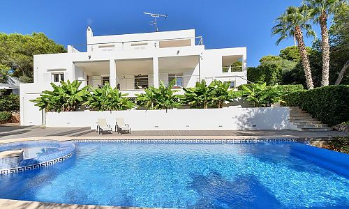 Palmen und Pool vor dem Ferienhaus