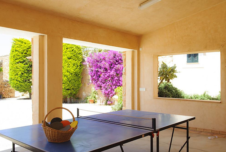 Tischtennisplatte auf der Terrasse mit Vordach