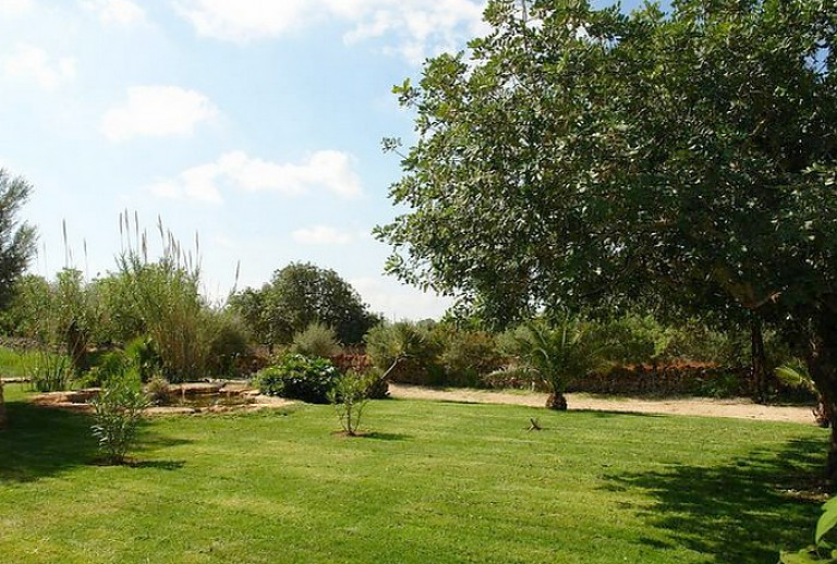 Garten mit Rasenfläche und Bäumen