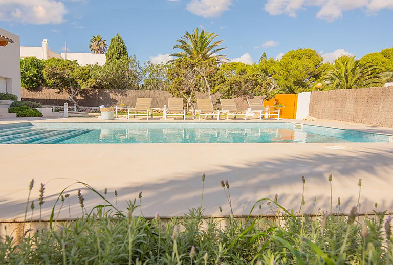 Pool mit Sonnenliegen im Außenbereich