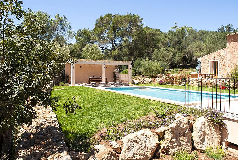 Olivenbäume und Rasen am Pool