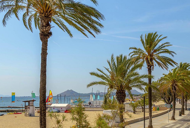 Strand mit Palmen vor der Ferienwohnung