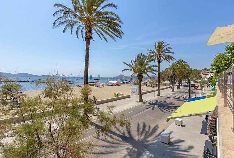 Blick von der Ferienwohnung auf den Strand mit Palmen