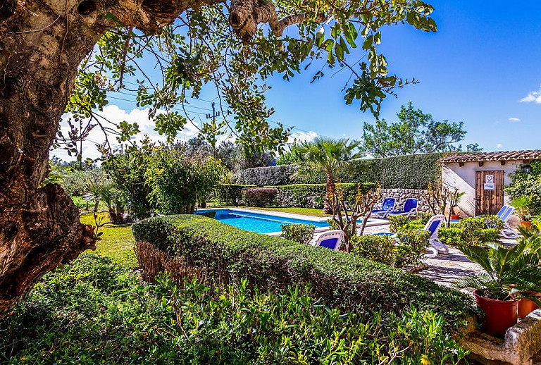 Garten mit Pflanzen und Bäumen