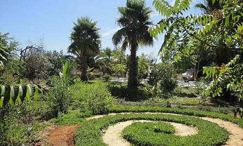 Finca Urlaub auf Mallorca mit Hund buchen | finca-privat