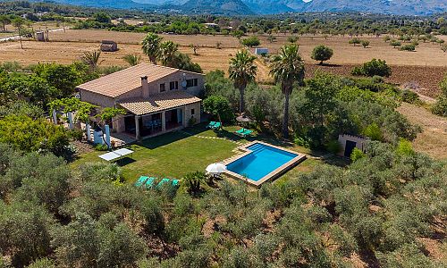 Pool mit Rasen und Palmen im Garten der Finca