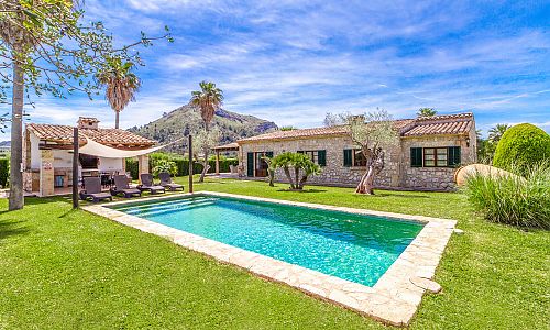 Palmen und Rasen am Pool