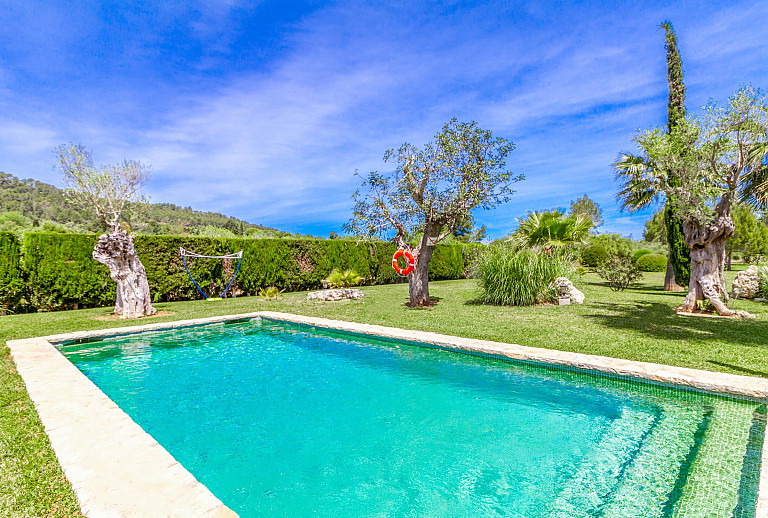 Garten mit Pool und Bäumen