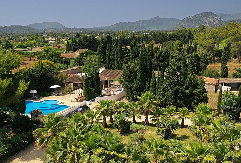 Palmen am Pool vor der Finca