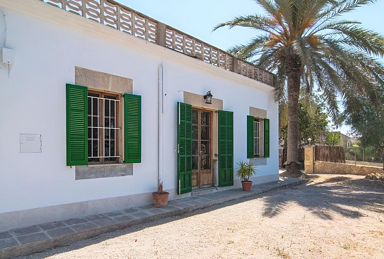 Palme und Topfpflanzen vor der Finca