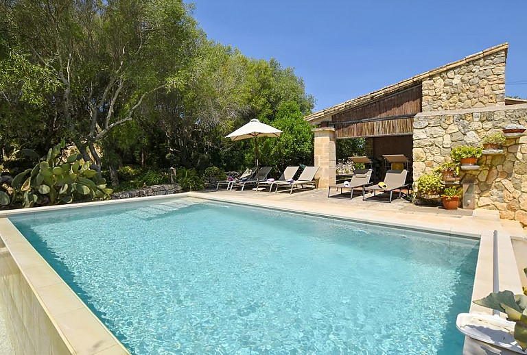 Topfpflanzen am Pool mit Sonnenliegen und Sonnenschirm