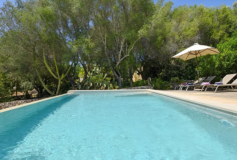 Bäume am Pool mit Sonnenliegen und Sonnenschirm