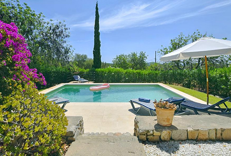 Pool mit Blumen und Rasen im Garten