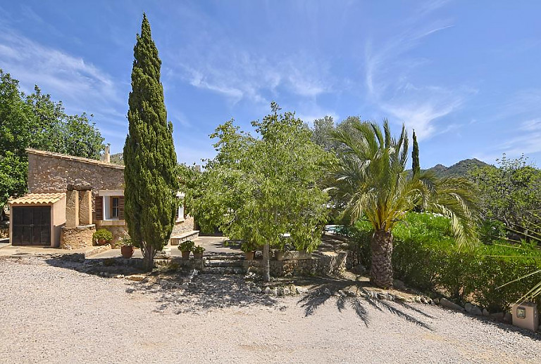 Palmen und Bäume vor der Finca