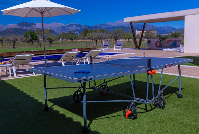 Tischtennisplatte auf dem Rasen vor der Terrasse