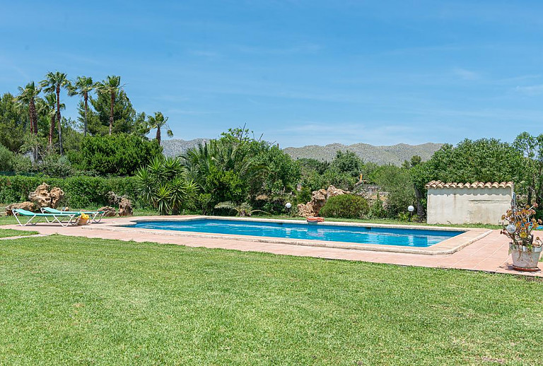 Palmen auf dem Rasen am Pool