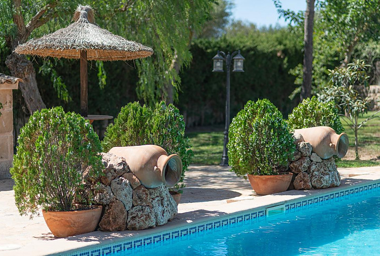 Toppflanzen am Poolrand