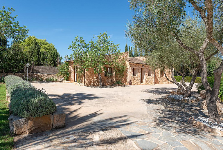 Bäume vor der Natursteinfinca