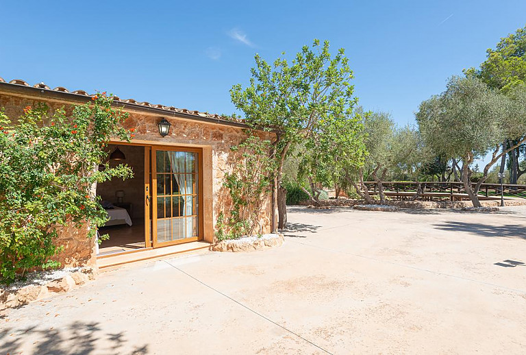 Garten mit Bäumen und Vorplatz