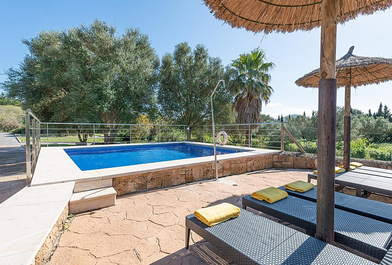 Bäume im Garten am Pool