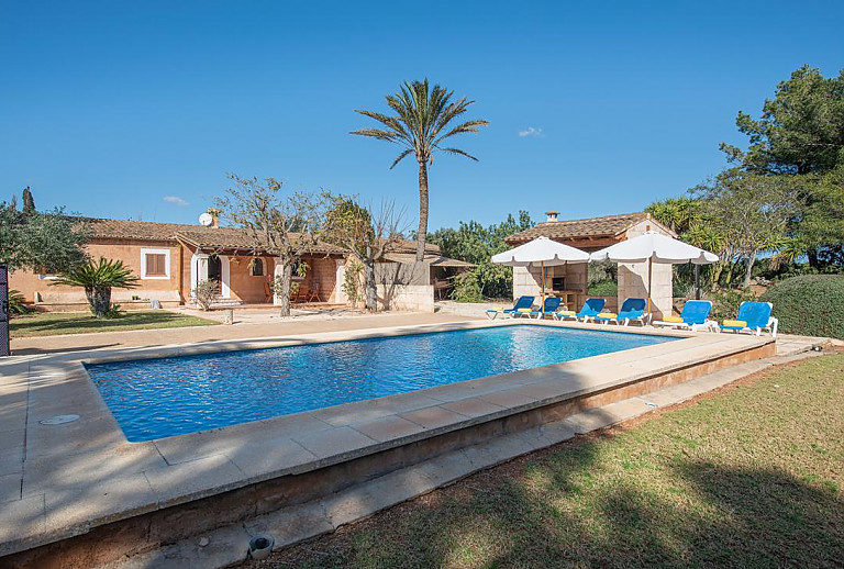 Finca mit Pool und Palmen