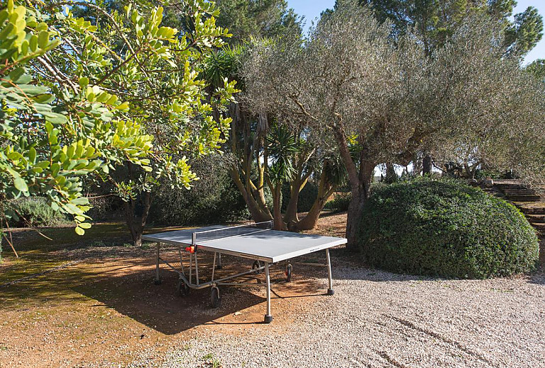 Tischtennisplatte im Schatten der Bäume