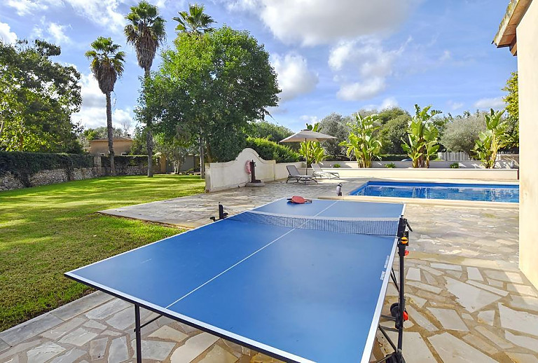 Tischtennisplatte auf dem Rasen am Pool