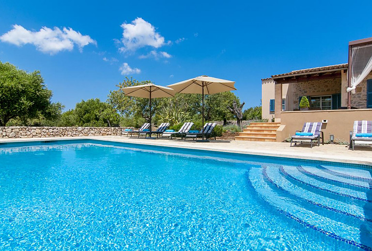 Garten mit Bäumen und Pool