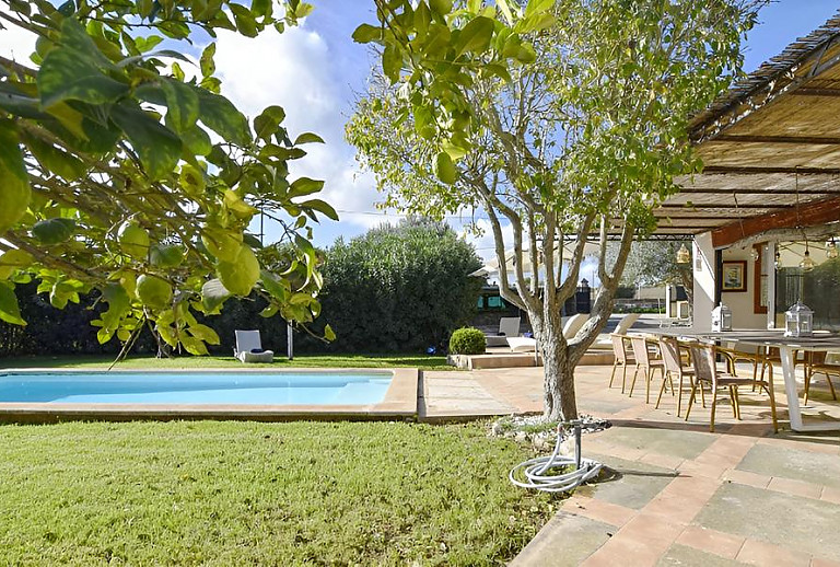 Bäume und Terrasse am Pool