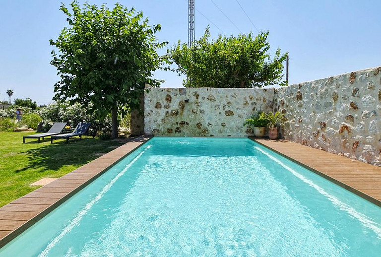 Pool im Garten mit Rasen und Pflanzen