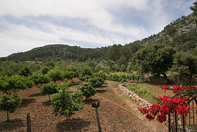 Finca Mallorca Pollenca Antik Bergblick 8 Personen
