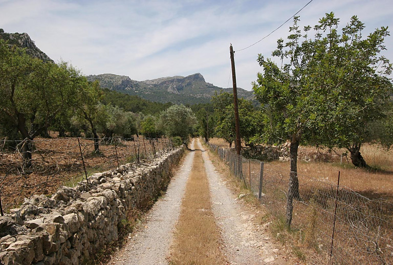Finca Mallorca Pollenca Antik Bergblick 8 Personen